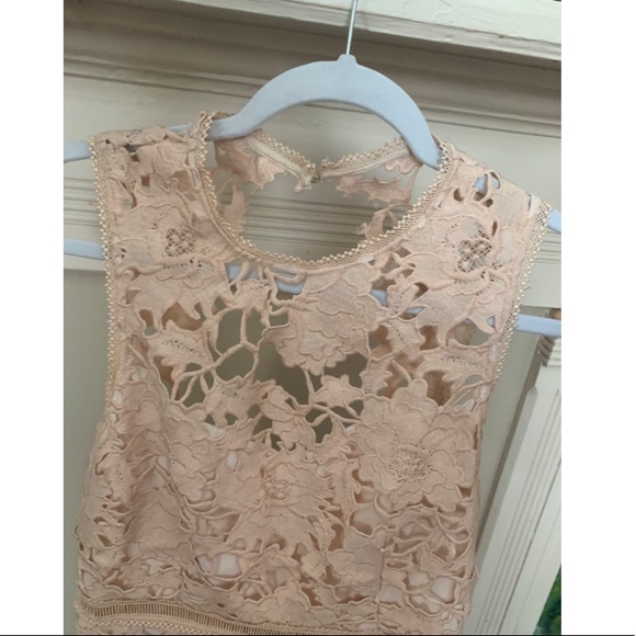 Saylor blush lace dress - Picture 2 of 4